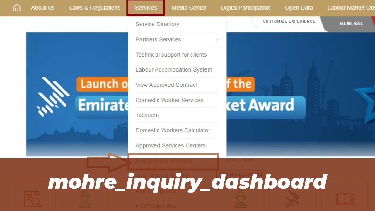 MoHRE Services 2026: Complete Guide to UAE Labor Procedures 2 mohre_inquiry_dashboard