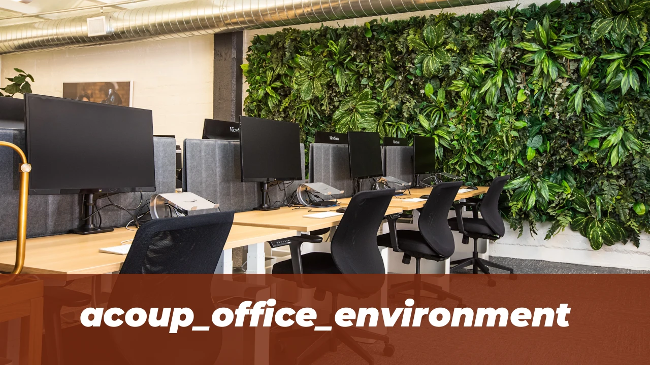 Acoup Employment Services: Top UAE Workforce Solutions 2026 1 acoup_office_environment
