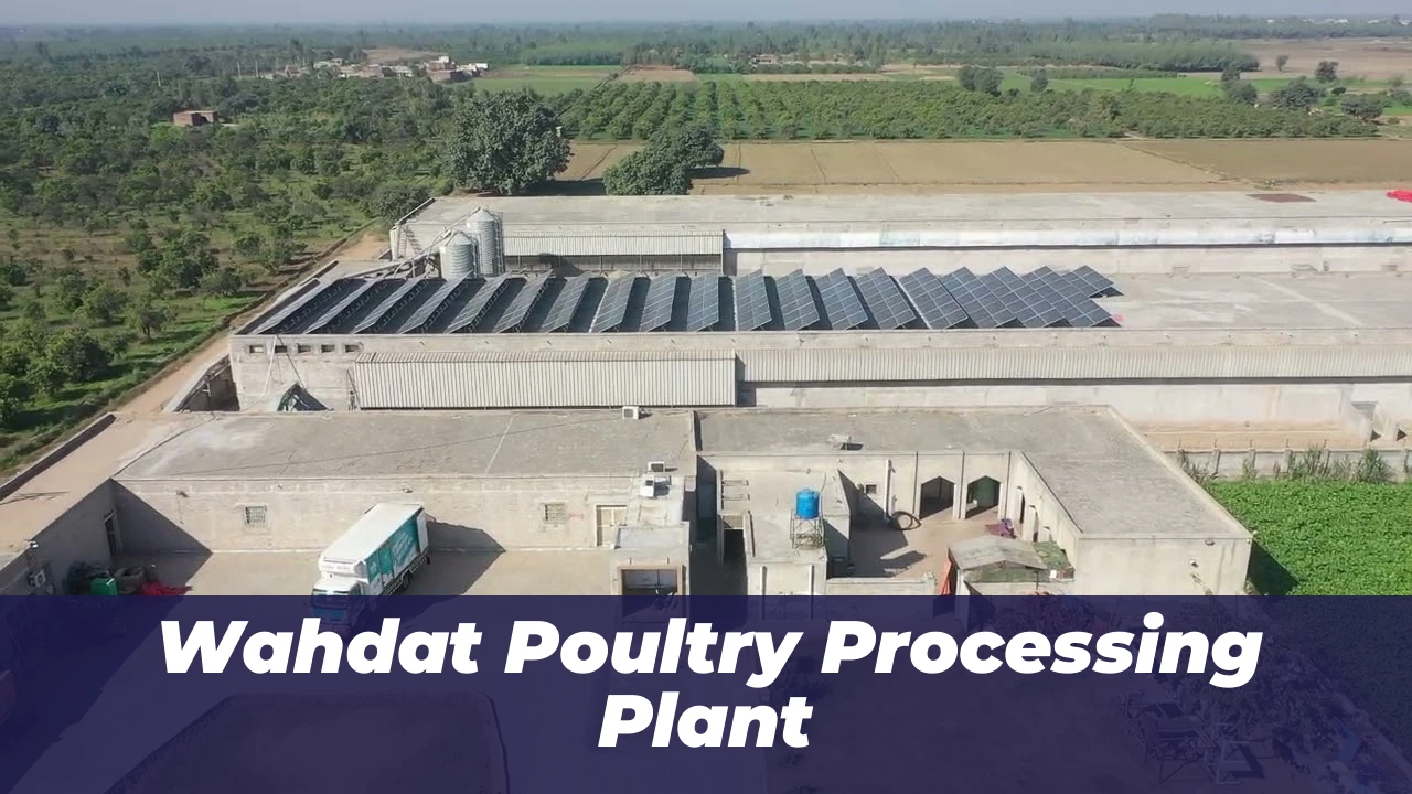 Wahdat Poultry Secures Rs. 500 Million Financing Deal (2026) 1 Wahdat Poultry Processing Plant