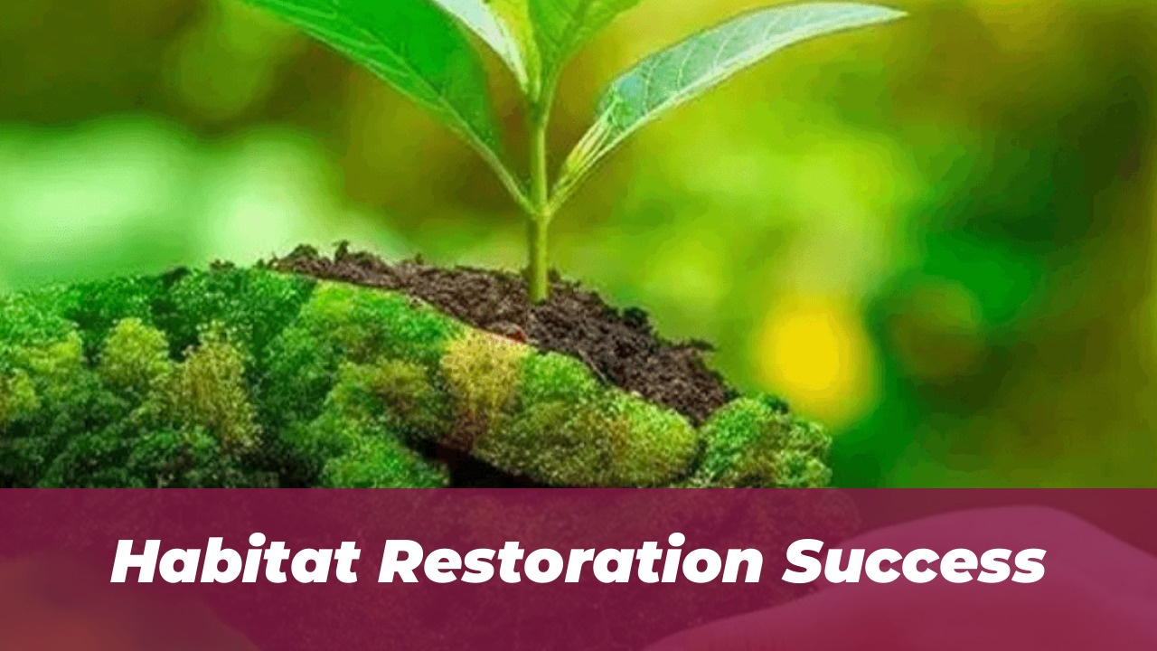 25 Winning Photos: BIAZA Animal Conservation Awards 2026 3 Habitat Restoration Success