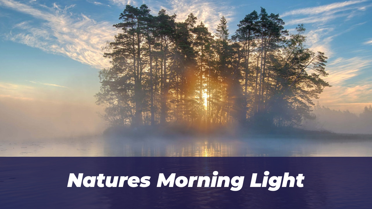 25 Winning Photos: BIAZA Animal Conservation Awards 2026 4 Natures Morning Light