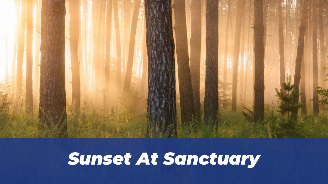 25 Winning Photos: BIAZA Animal Conservation Awards 2026 5 Sunset At Sanctuary