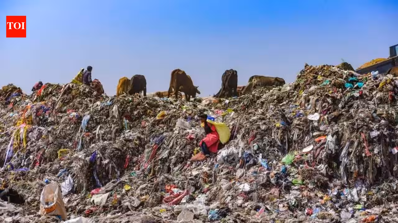 Suthra Punjab Contractors Strike: Waste Services Halted 2026 3 Waste Accumulation South Punjab