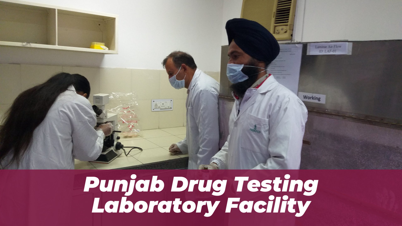Punjab Recalls Two Medicine Batches Over Quality Failures 2026 1 Punjab Drug Testing Laboratory Facility