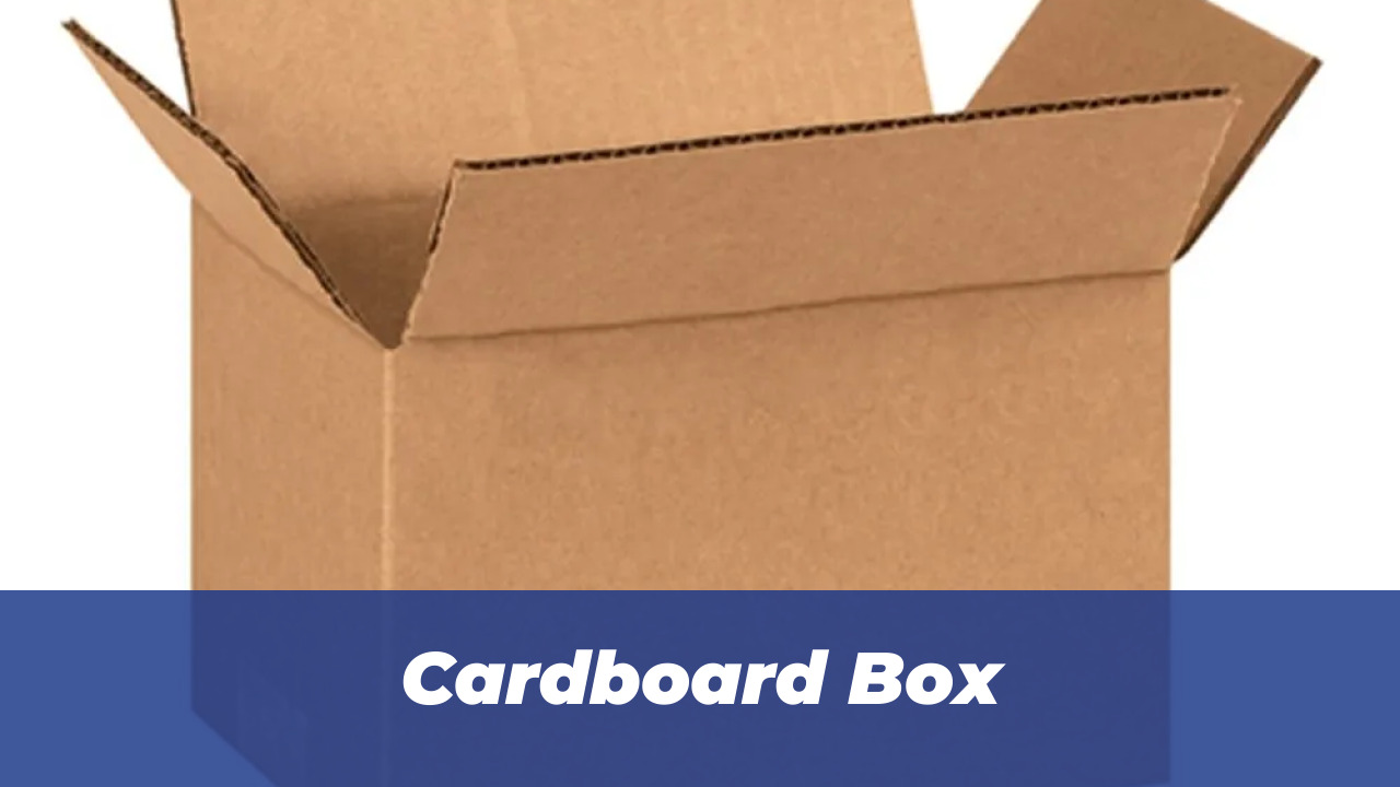 40 Wholesome Momo and Forg Comics for 2026 Joy 4 Cardboard Box