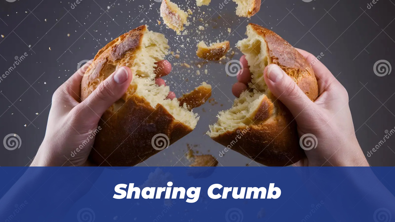 40 Wholesome Momo and Forg Comics for 2026 Joy 5 Sharing Crumb