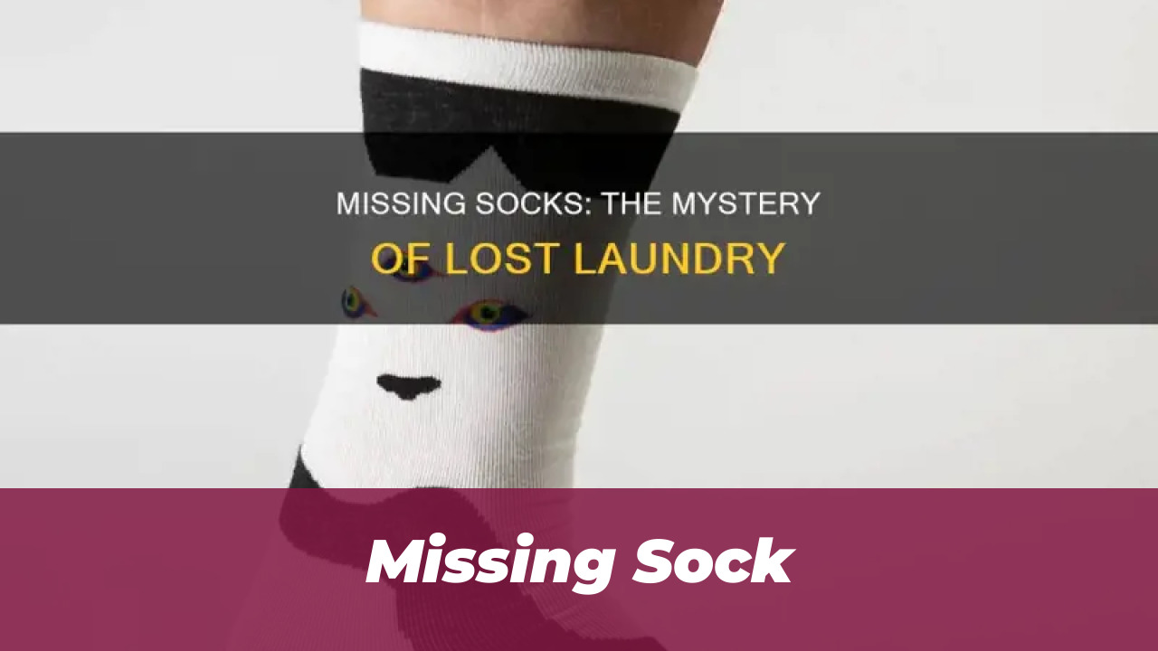 40 Wholesome Momo and Forg Comics for 2026 Joy 10 Missing Sock