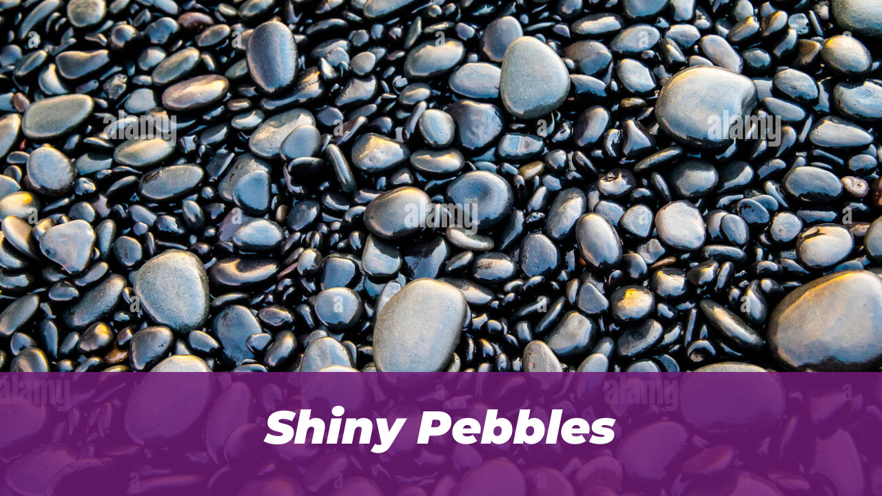 40 Wholesome Momo and Forg Comics for 2026 Joy 15 Shiny Pebbles