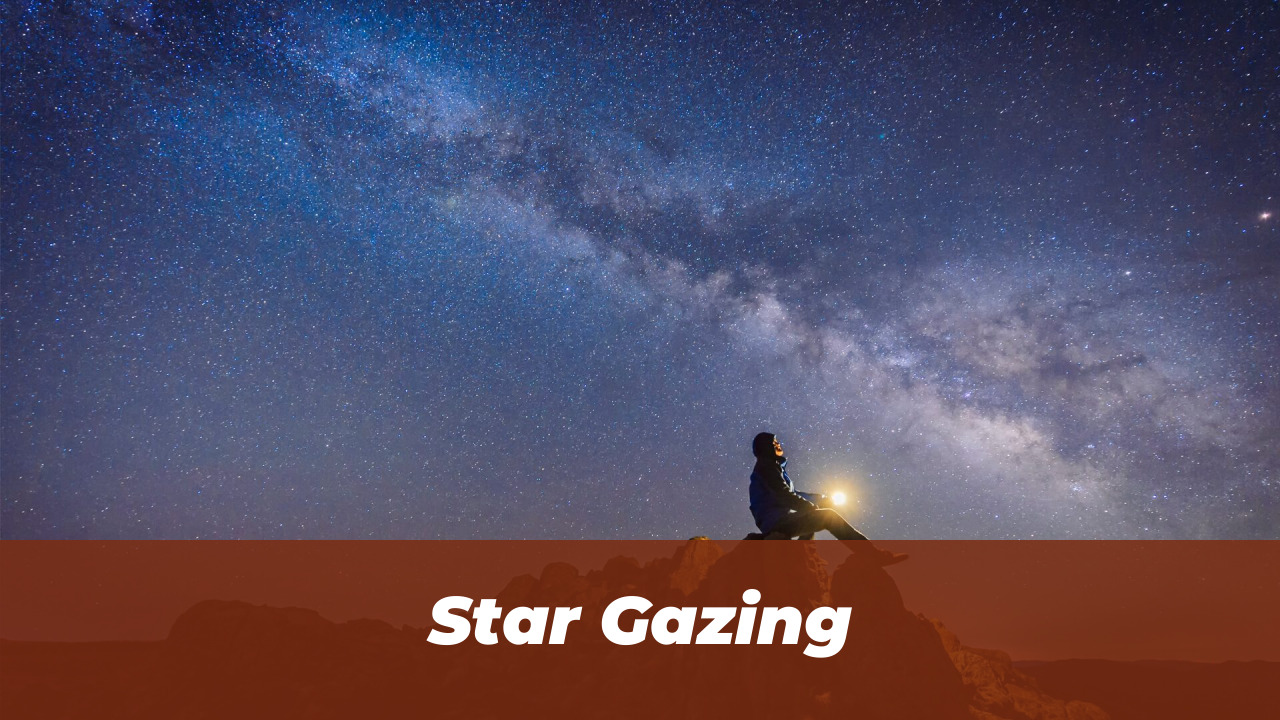 40 Wholesome Momo and Forg Comics for 2026 Joy 23 Star Gazing