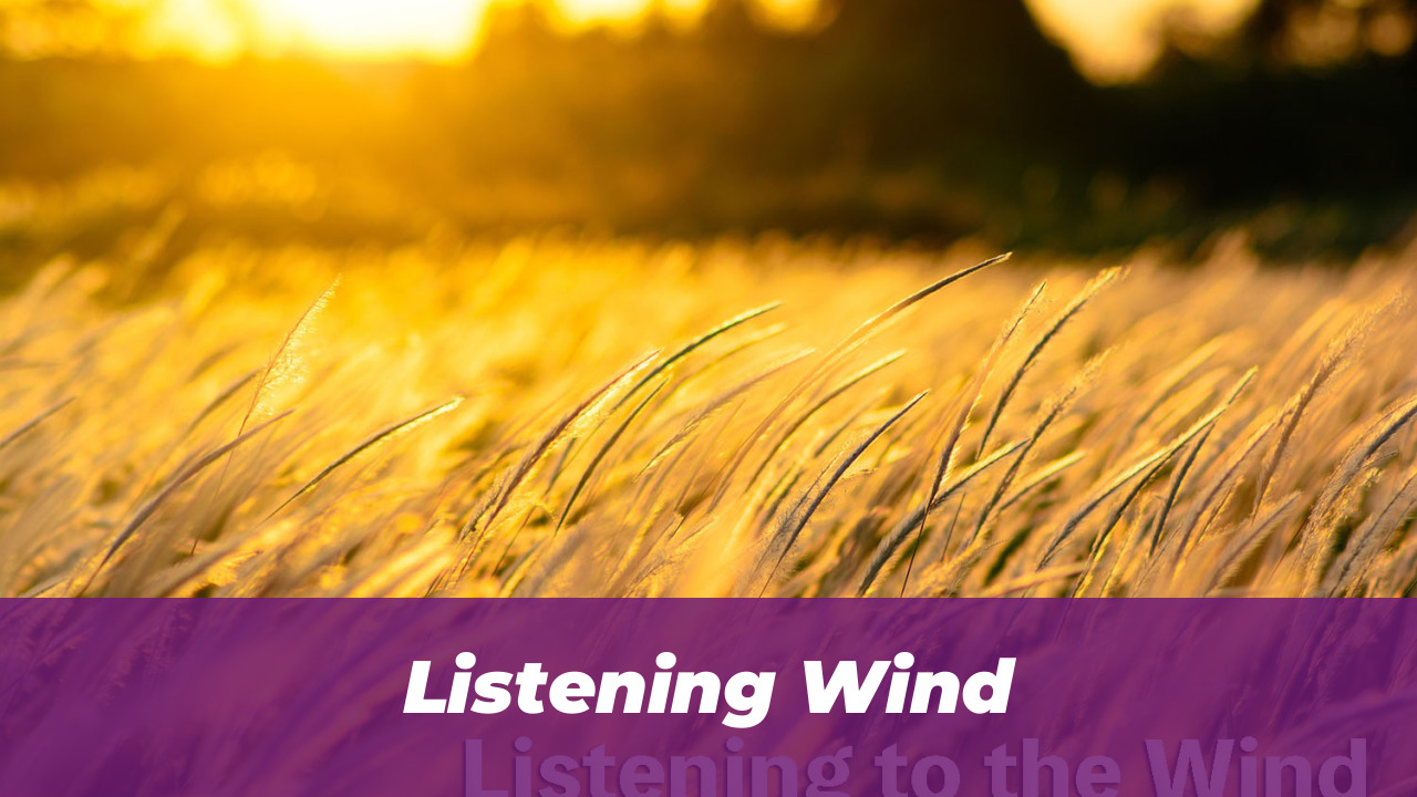 40 Wholesome Momo and Forg Comics for 2026 Joy 34 Listening Wind
