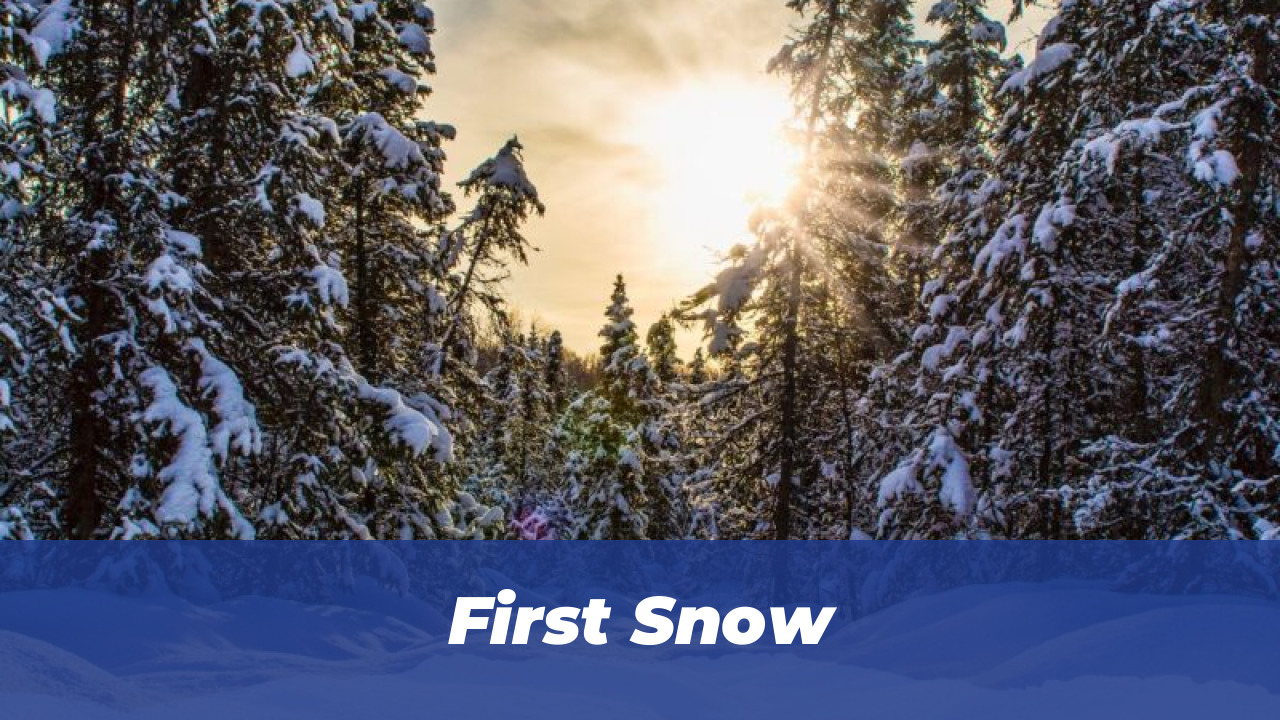 40 Wholesome Momo and Forg Comics for 2026 Joy 35 First Snow