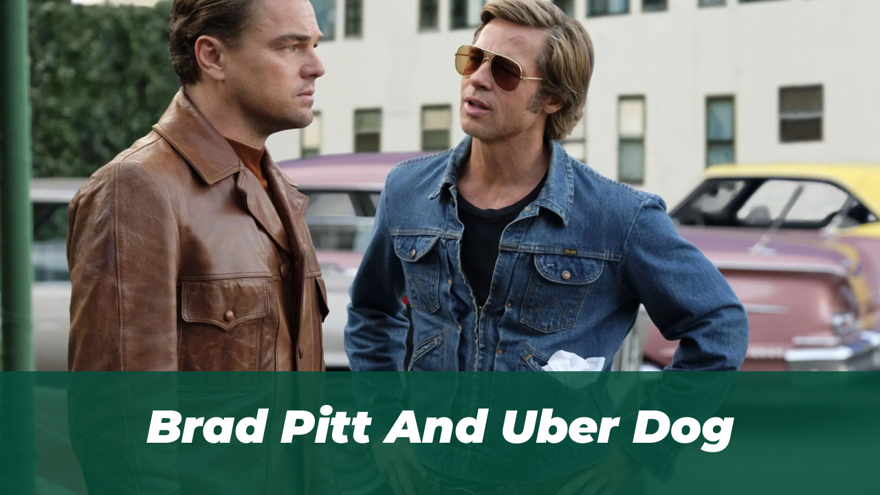 Brad Pitt Learned Navy SEAL Survival for Heart of the Beast 3 Brad Pitt And Uber Dog