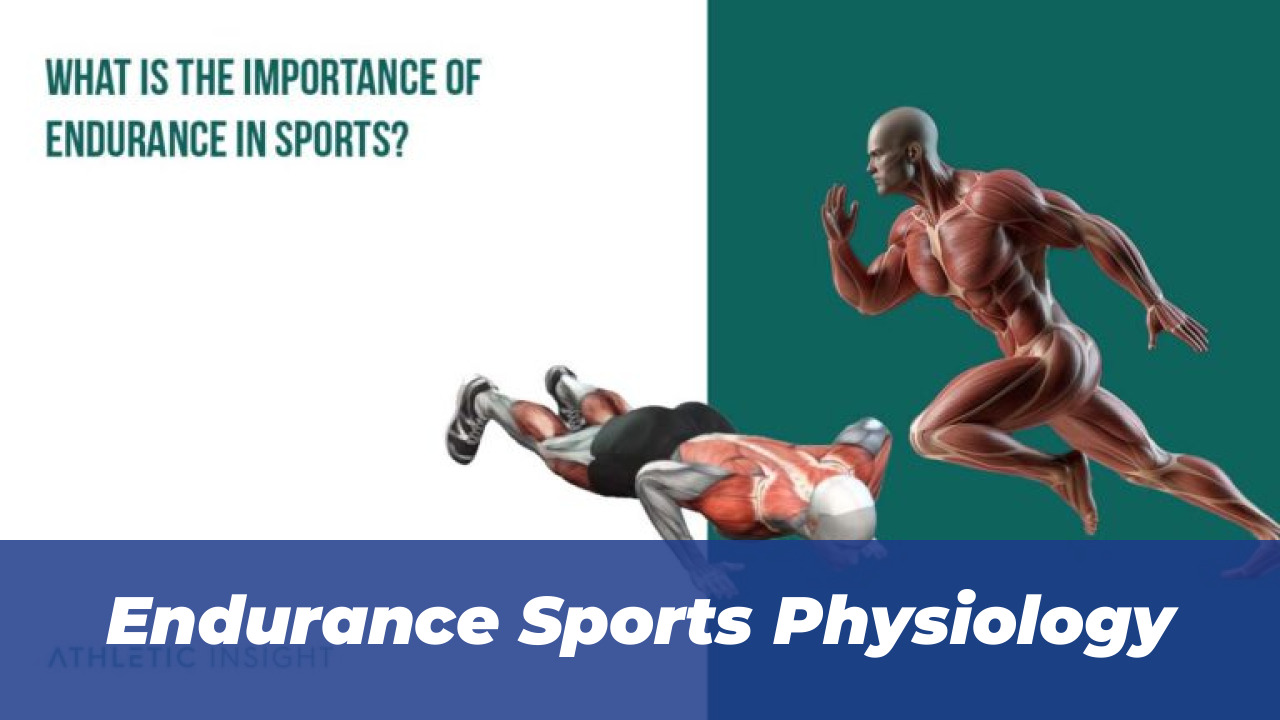 Endurance Sports Physiology