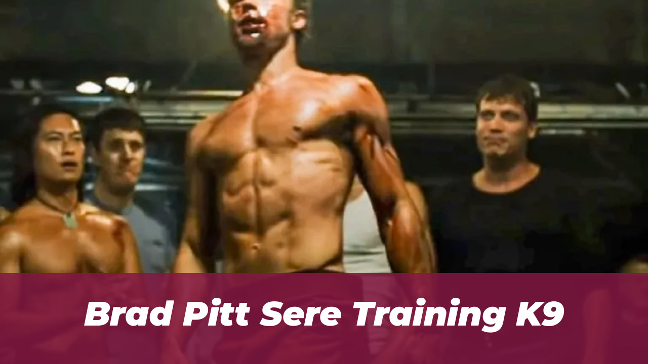 David Ayer Reveals Brad Pitt’s Real Danger in 2026 Film 2 Brad Pitt Sere Training K9