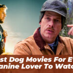 5 Best Dog Movies for Every Canine Lover to Watch