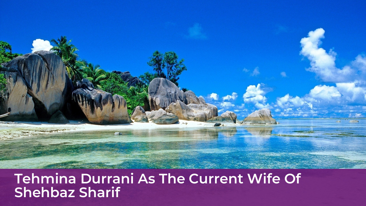 Who is Shahbaz Sharif Wife? Complete Marital History and Details 7 Tehmina Durrani As The Current Wife Of Shehbaz Sharif