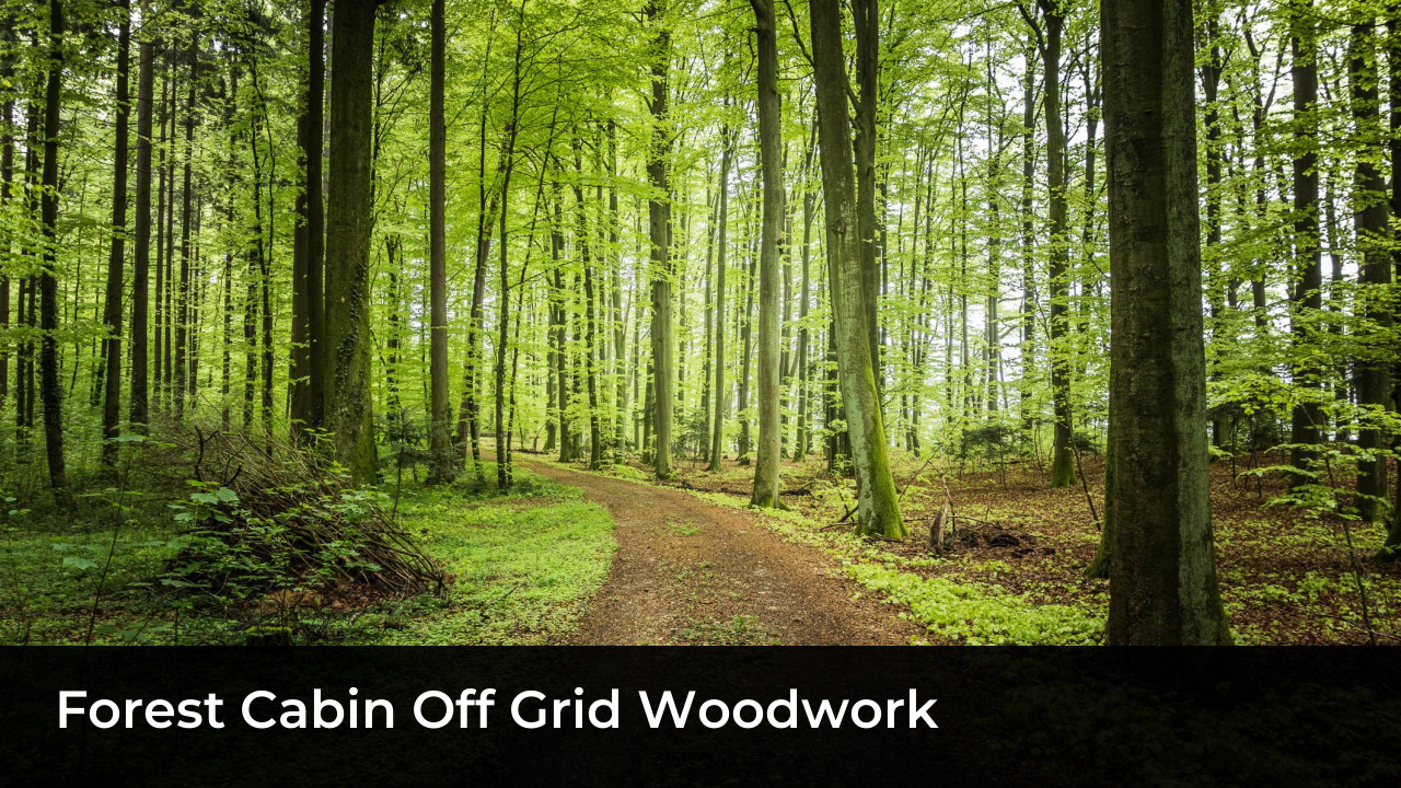 Luxon Bushcraft Biography: Net Worth, Age, Real Name, Siblings 5 Forest Cabin Off Grid Woodwork