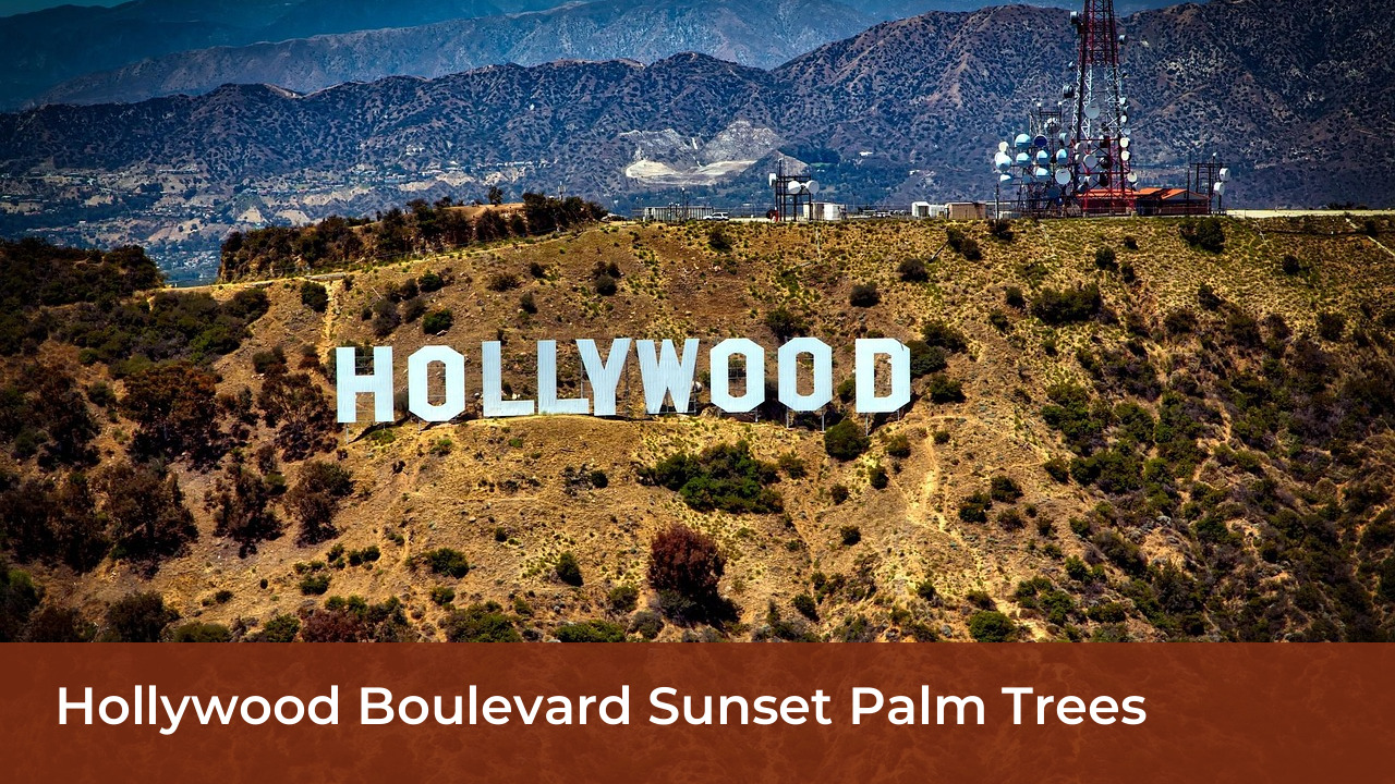Jud Tylor Biography: Age, Height, Net Worth, Movies & Career 5 Hollywood Boulevard Sunset Palm Trees