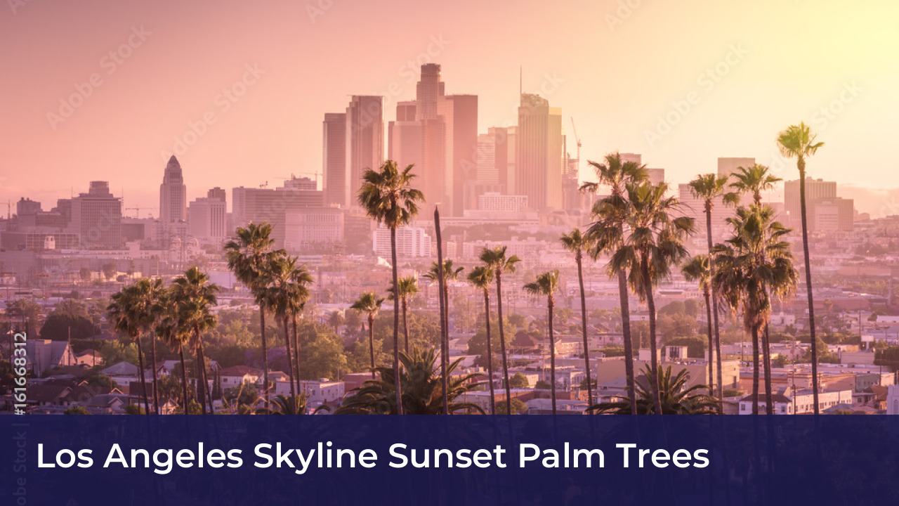 Bryan Mittelstadt Biography: Age, Career, Net Worth & Family 3 Los Angeles Skyline Sunset Palm Trees