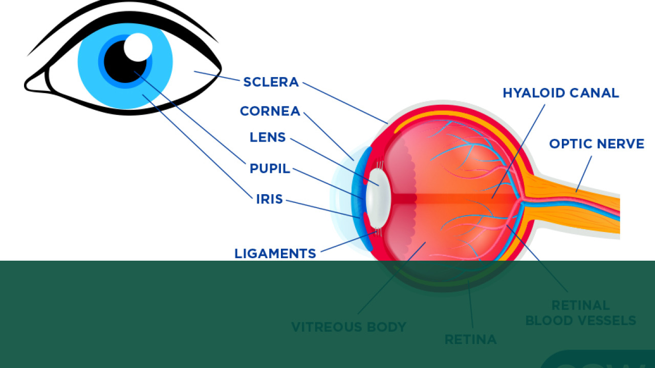 Chris Johnson ALS Update: Former NFL Star Shares Health Status 3 Eye Tracking Communication Tablet Device