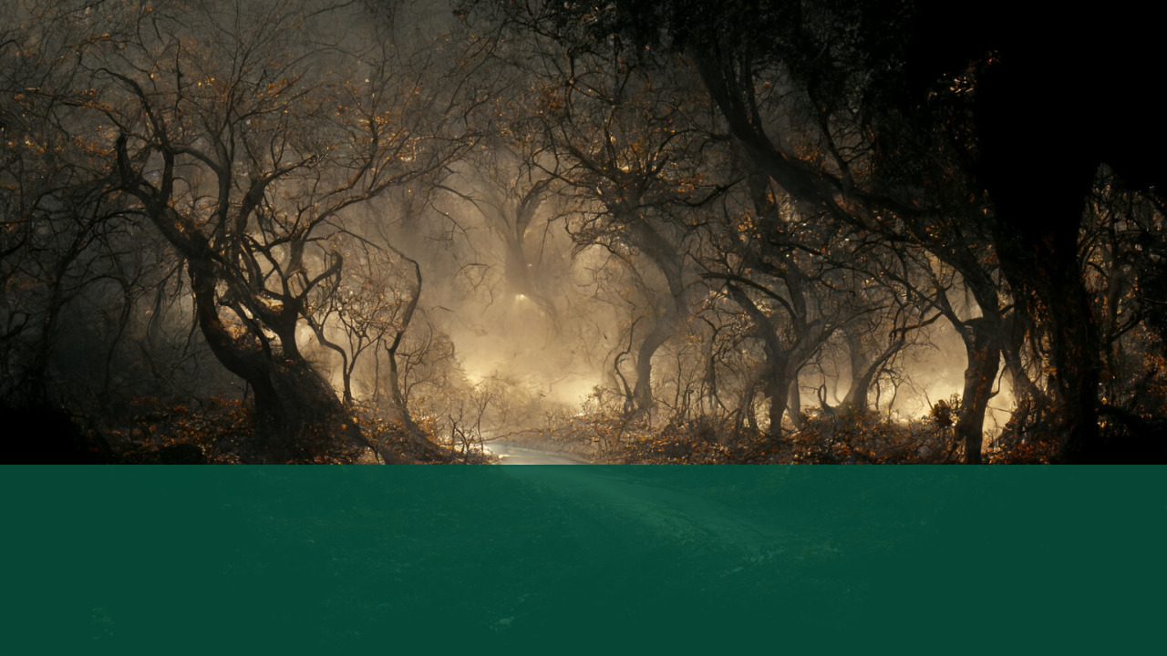 Ian McKellen and Elijah Wood Return for New Lord of the Rings 5 Cinematic Fantasy Forest Mist