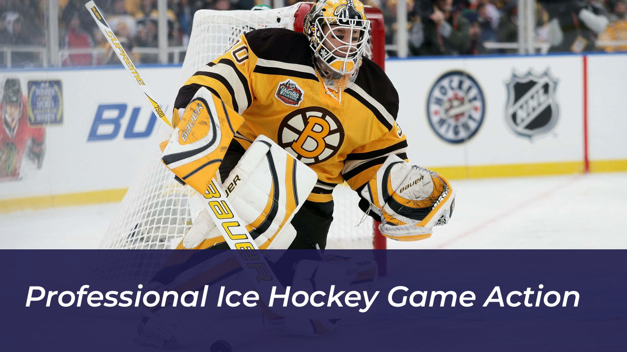 Professional Ice Hockey Game Action