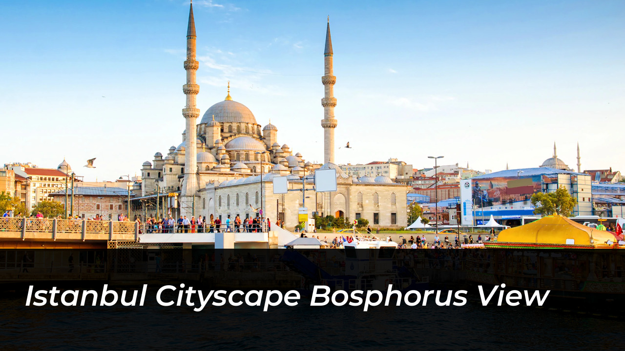Olgun Şimşek Biography: Age, Height, Wife, Net Worth, Shows 3 Istanbul Cityscape Bosphorus View