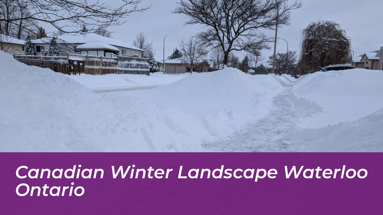Canadian winter landscape Waterloo Ontario