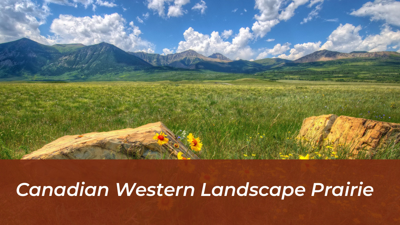 Canadian Western Landscape Prairie